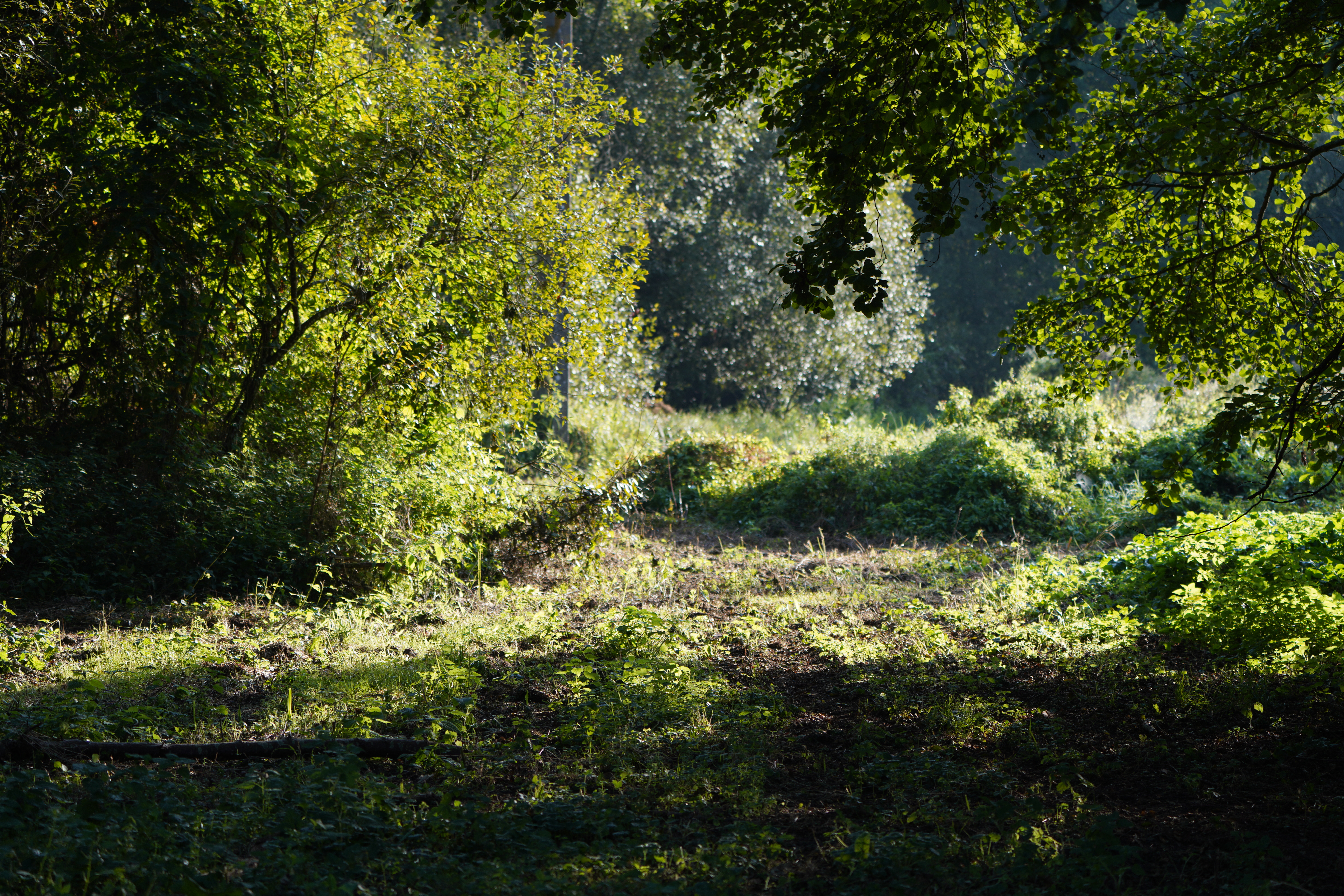 Mein Stück Welt – Mon petit coin de monde – Wo die Zeit Wurzeln schlägt