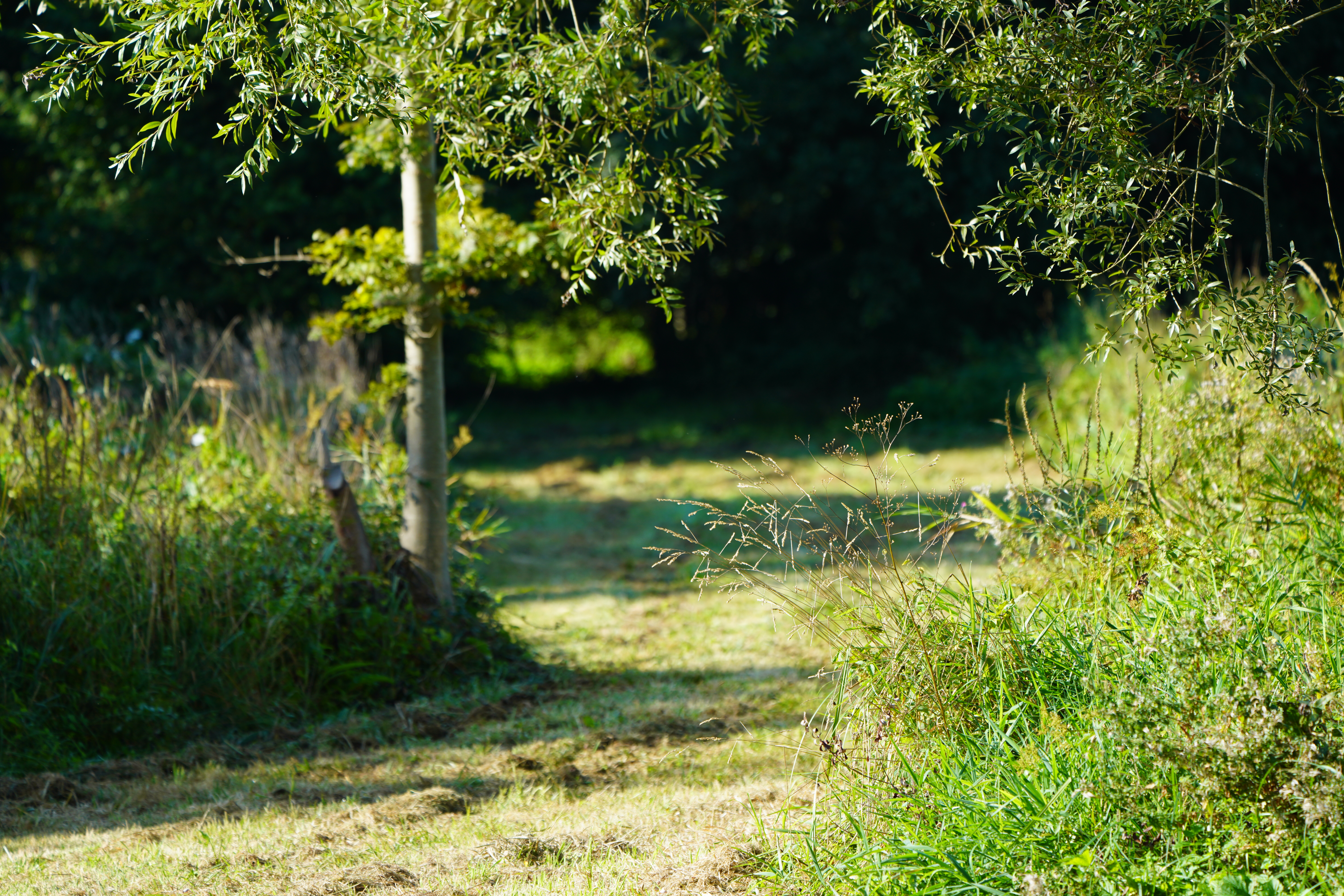Mein Stück Welt – Mon petit coin de monde – Wo die Zeit Wurzeln schlägt